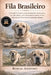Fila Brasileiro: A Thoughtful Guide to Understanding the Temperament, Care, Boundaries, and Lifelong Responsibility of One of the World's Most Serious by Rowan Ashford