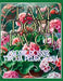 Tam Dom Twój, gdzie rośnie Twoja Pelargonia Encyklopedia z Pelargoniami od A do Z do kolorowania: encyklopedia kwiatów by Bella Mary Wood