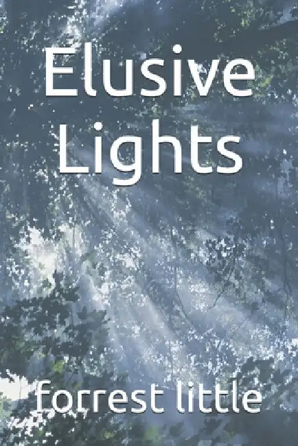 Elusive Lights by Forrest Little