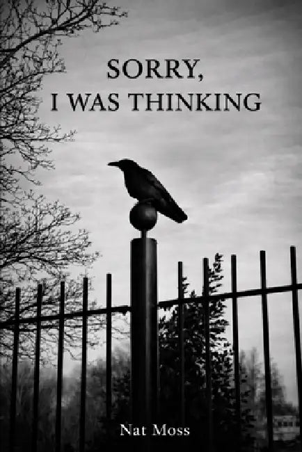 Sorry, I Was Thinking by Nat Moss