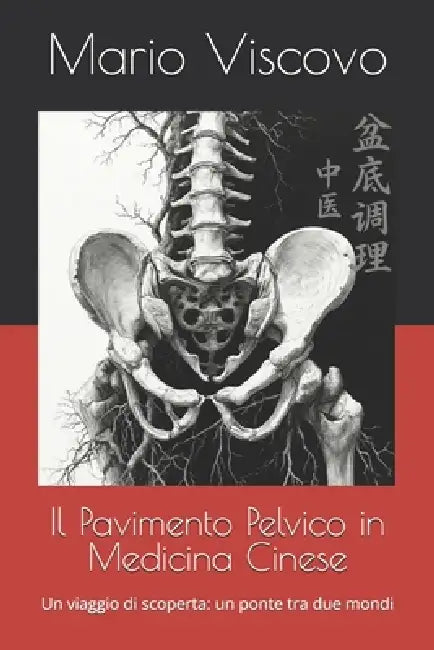 Il Pavimento Pelvico in Medicina Cinese: Un viaggio di scoperta: un ponte tra due mondi by Mario Viscovo