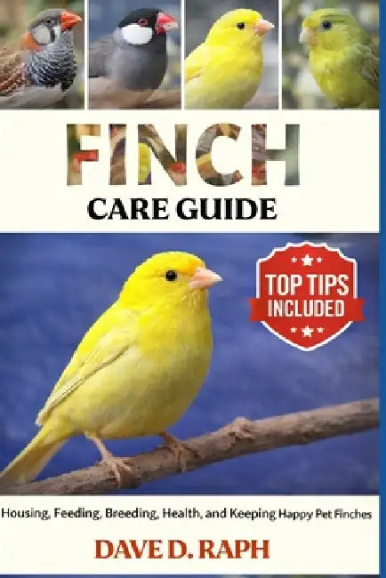 Finch Care Guide: Housing, Feeding, Breeding, Health, and Keeping Happy ...