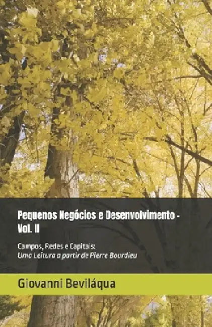 Pequenos Negócios e Desenvolvimento - Vol. II: Campos, Redes e Capitais: Uma Leitura a partir de Pierre Bourdieu by Giovanni Beviláqua
