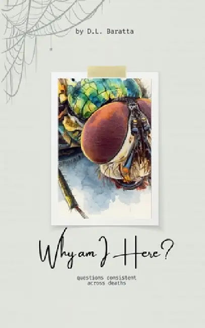 Why am I Here?: Questions Consistent Across Deaths by D. L. Baratta
