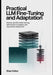 Fine Tuning LLM Practical Implementation and Adaptation: Domain Specific Model Training, Optimization Strategies, and Responsible Deployment by Zhao Colton
