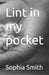 Lint in my pocket by Sophia Smith