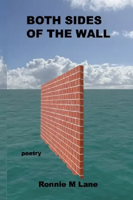 Both Sides of the Wall by Rain Tree Books, Ronnie M. Lane