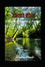 Silent Hour: A Nature Homecoming Practice by N'Nako Kandé
