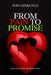 From Pain to Promises by Iyin Ojekunle