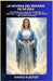 La Novena del Rosario de 54 Días: Un Poderoso Viaje de 54 Díasde La Oración, La Persistencia Y Los Milagros del Santo Rosario by Mario Kuefer
