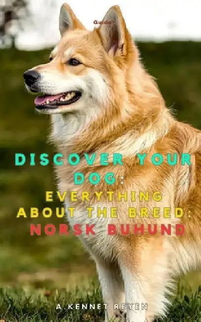 Discover your dog: Everything about the breed: Norsk Buhund by A. Kennet Reyen