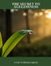 The Secret To Agelessness: A Guide To Effortless Longevity by Rebecca Madsen