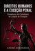 Direitos Humanos e a Exceção Penal: Paradoxos da Cidadania no Estado de Punição by André Kologeski