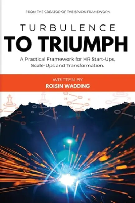 Turbulence to Triumph: A Practical Guide for HR Start-Ups, Scale-Ups and Transformation by Roisin Wadding