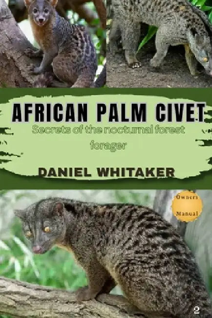 African Palm Civet: Secrets of the nocturnal forest forger by Daniel Whitaker