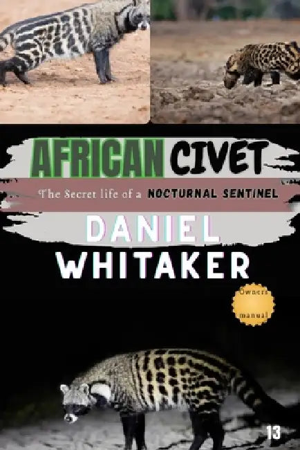African Civet: The Secret life of a nocturnal sentinel by Daniel Whitaker