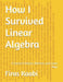 How I Survived Linear Algebra: A Course in Vectors, Matrices, and Linear Maps by Firas Kaabi