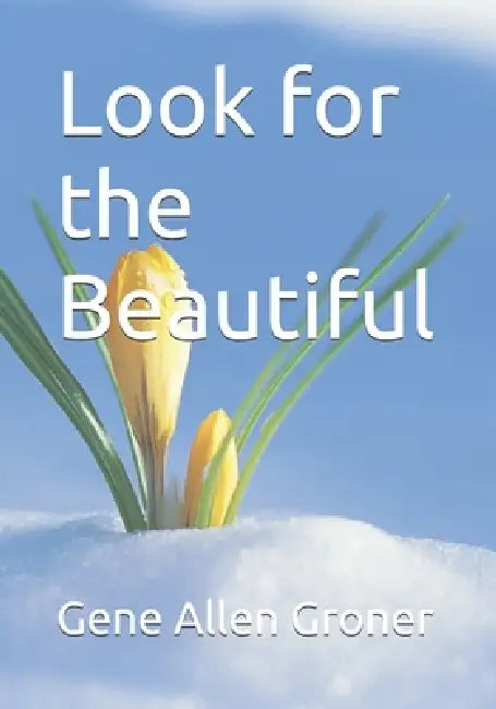 Look for the Beautiful by Gene Allen Groner