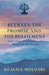Between the Promise and the Fulfilment: Faith, Hope, Perseverance, and Purpose in the Waiting by Keagile Boitumelo Moloabi