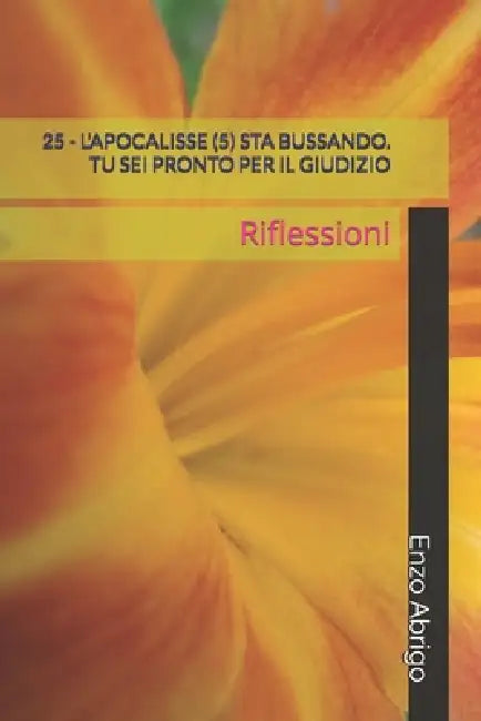 25 - l'Apocalisse (5) Sta Bussando. Tu SEI Pronto Per Il Giudizio: Riflessioni by Marisa Lessio, Enzo Abrigo