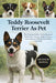Teddy Roosevelt Terrier As Pet