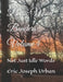 Poetic Mind Benders Volume 4: Not Just Idle Words by Eric Joseph Urban