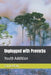 Unplugged with Proverbs: Youth Edition by Carrie Braly