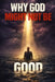 Why God Might Not Be Good by Dominic Voss