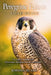 Peregrine Falcon Field Guide: A Complete Handbook for Observation, Identification, and Conservation by Jordan Blake