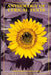 Anthology of lyrical texts by José Gomes Da Silva Neto