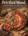 Petrified Wood Identification and Collecting: A Field Guide to Fossils and Locations by Craft Logan