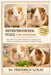 Meerschweinchenpflege Für Anfänger: Eine Schritt-für-Schritt-Anleitung für angemessenes Wohnen, Ernährung, Gesundheit und tägliche Pflege by Friedrich Lukas