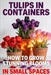 Tulips in Containers: How to Grow Stunning Blooms in Small Spaces by Oliver Greenfield
