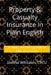 Property & Casualty Insurance in Plain English: A clear, modern guide to P&C insurance by James Whitaker Cpcu