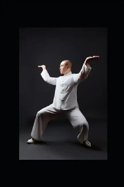 A Flow Like Water, The History, Philosophy, and Living Practice of Taichi with Chinese translation by Victor Lau