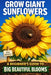 Grow Giant Sunflowers: A Beginner's Guide to Big, Beautiful Blooms by Oliver Greenfield