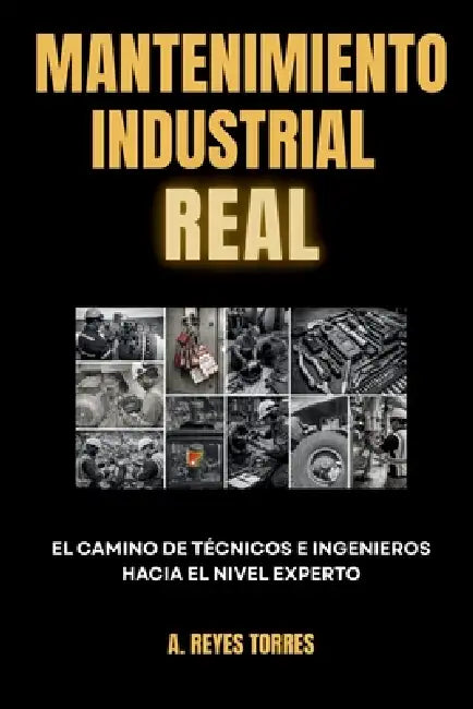 Mantenimiento Industrial Real: El camino de técnicos e ingenieros hacia el nivel experto by Alvaro Reyes Torres