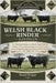 Welsh Black Rinder Handbuch: Der vollständige Leitfaden zur Aufzucht, Pflege, Fütterung, Haltung, zum Gesundheitsmanagement, zur Zucht und zur verantw by Daniel Krüger