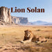 Lion Solan