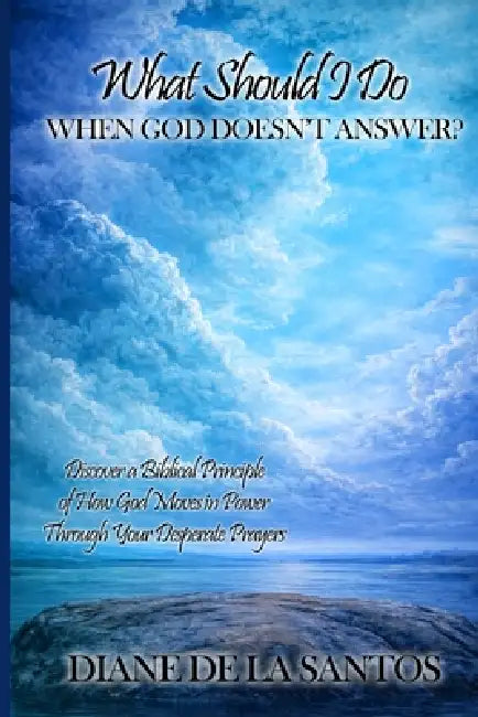 What Should I Do When God Doesn't Answer?: Discover a Biblical Principle of How God Moves in Power Through Your Desperate Prayer by Diane de la Santos