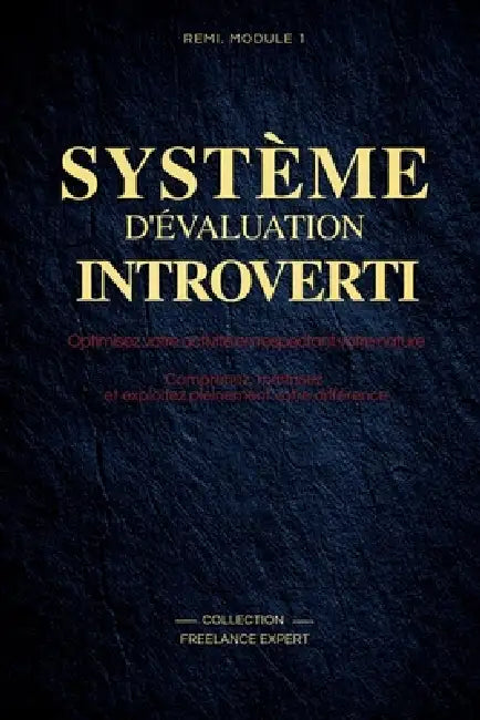 Système d'Évaluation Introverti: Choisir les Bons Projets sans s'Épuiser Méthode REMI pour Freelances Introvertis Rentabilité, Énergie & Décision Clai by Freelance Expert