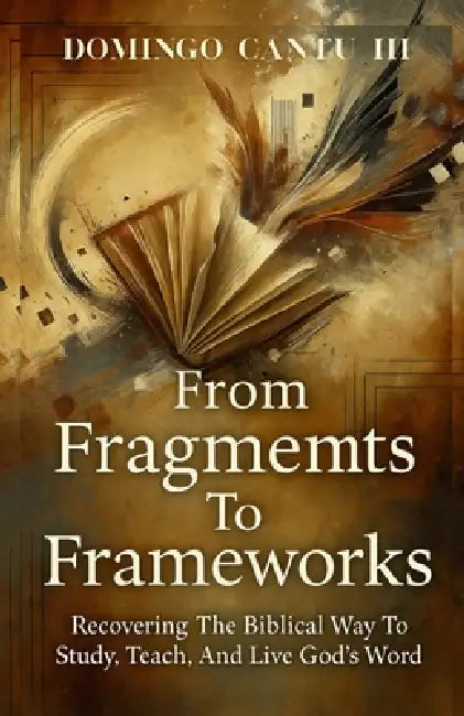 From Fragments To Frameworks by Domingo Cantu