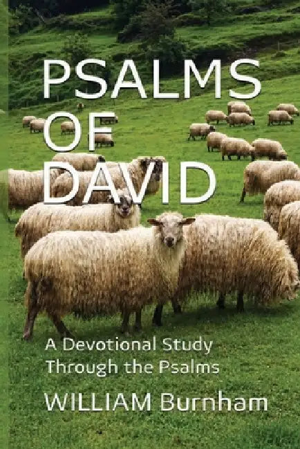 Psalms of David: A Devotional Study Through the Psalms by William Daniel Burnham