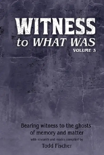 WITNESS to What Was: Volume 3 by Todd Fischer