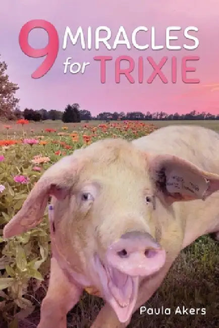 9 Miracles for Trixie by Paula Akers