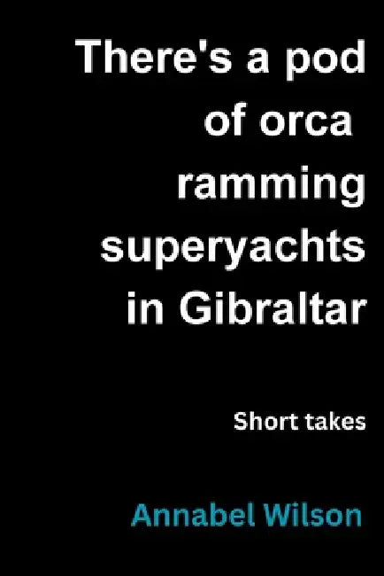 There's a pod of orca ramming superyachts in Gibraltar by Annabel Wilson