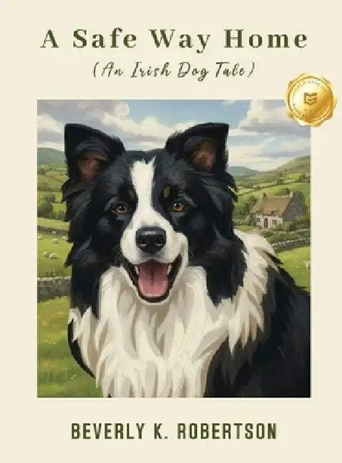 A Safe Way Home: An Irish Dog Tale by Beverly K Robertson