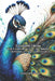 Lessons from The Conference of the Birds: The Wisdom of Farid ud-Din Attar by Fernan Vargas, Thalia Mirewood
