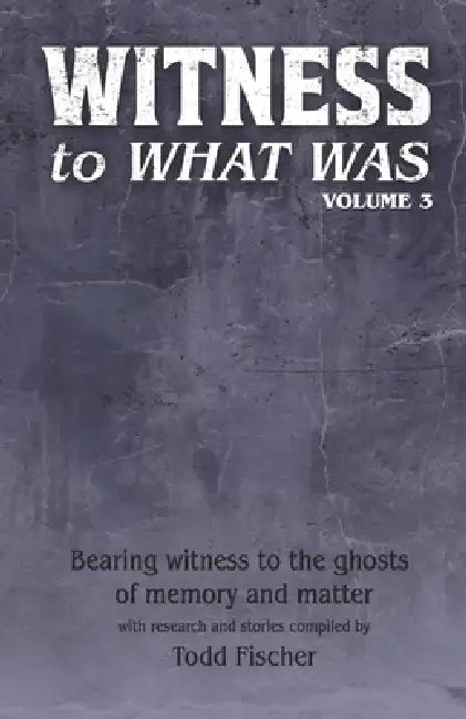 WITNESS to What Was: Volume 3 by Todd Fischer