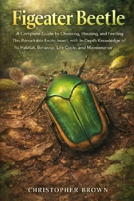 Figeater Beetle